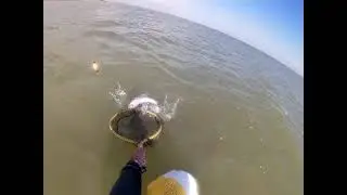 Catching a red fish while on the phone