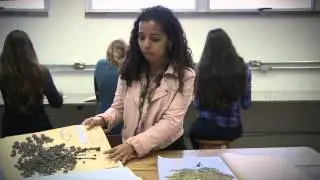 Capítulo 2 - Coleta, Identificação e Conservação das Plantas