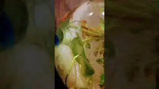 My fish bowl part - 1 #love #music #tamilsong