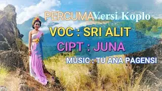 Sri alit //PERCUMA versi koplo// official musik vidio