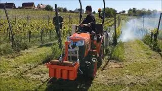D&eacute;sherbage thermique vigne - mai 2021