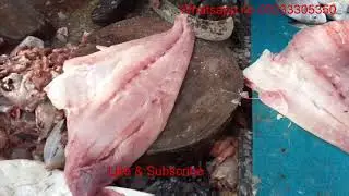 Fish Video | Patal Fish Bonless Cutting | Karachi Fishery Market