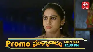 Sandya Ragam Latest Promo | Episode No 216 | 5th February 2026 | ETV Telugu