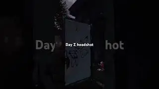 1 bullet vs BK133 DayZ #dayz
