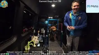 ☀️Mobile Dog Gym Episode 3: New dog Tuesday  (Part 33/34)