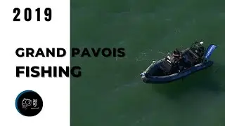 RETOUR MANCHE GRAND PAVOIS FISHING 2019
