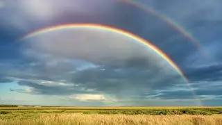 *THE SIGN OF ALL SIGNS* SOULMATE TWINFLAME LOVE READING
