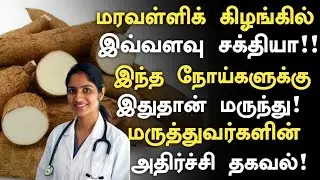 மரவள்ளிக்கிழங்கு மருத்துவ அற்புதம்! | Maravalli Kizhangu Health Benefits Tamil | Tapioca Health Tips