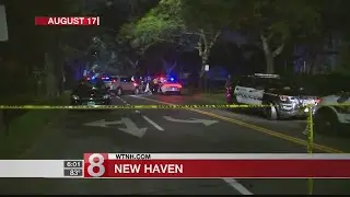 Two witnesses say Hamden cops in 