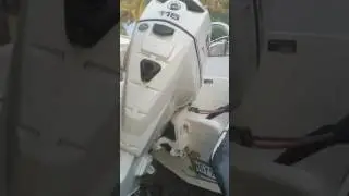 Evinrude etec 115 HP flushing