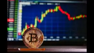 If You Put Some Of Your 2020 Stimulus Check Into Bitcoin, What Would It Be Worth NOW? 10/26/2021