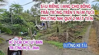 MS:25216 Miếng vườn sầu riêng cực đẹp góc 2 mặt tiền xe hơi -Sổ hồng riêng công chứng liền được.