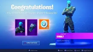 The New STARTER PACK in Fortnite..