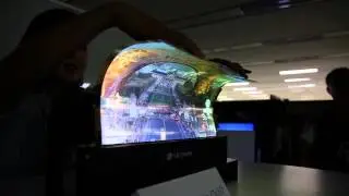 18-inch Flexible OLED Panel