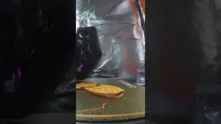 Timelapse Shark #3dprinting