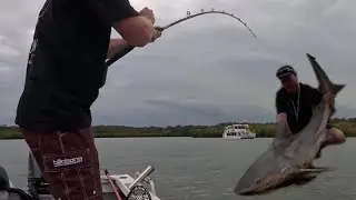 NOOSA RIVER - CATCHING BULLSHARK INFRONT OF PARTY BOAT 