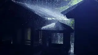 Overcome Stress to Sleep with Heavy Rain and Paramount Thunder Sounds on a Tin Roof at Night😴