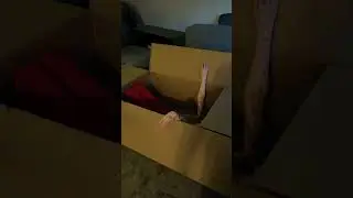 Amazom Same Day delivery! #wife #box #mailordercomedy
