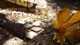 Kem&eacute;ny Egon &ndash; Raics Istv&aacute;n: 
