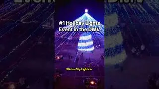 Check out Winter City Lights #dcspot #holidaylights #christmas #christmaslights #christmastree