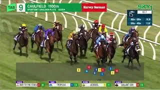 TROPICUS - Oakleigh Plate 2026 (3YO+ HCP G1) Group 1 Caulfield 21 February