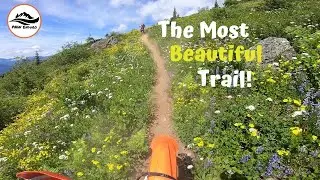 Not So Secret Alpine Single Track