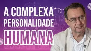 Uma Lição Sobre a Teimosia | Augusto Cury