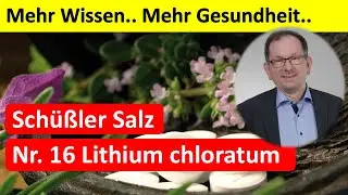 Sch&uuml;&szlig;ler Salz Nr. 16 Lithium chloratum D12