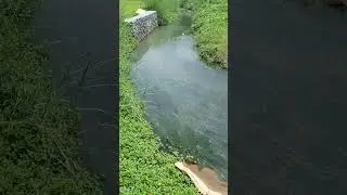 kuruvatur# vallapuzha# village
