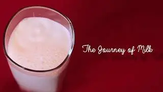 JOURNEY OF MILK - Supply Chain Annual Conference Video - Engro Foods Pakistan