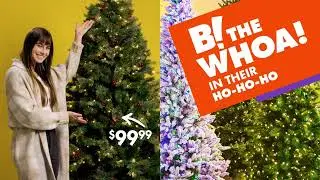 Big Lots is your Destination for Holiday D&eacute;cor! 25% OFF ALL Trees & Christmas Decor Collections