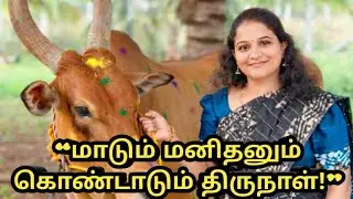 “மாடும் மனிதனும் கொண்டாடும் திருநாள்!”@naughtyrainbowsaranya #festivalvibes #foodie#viralvideo