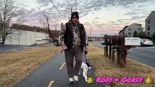 Small dog training | Frenchie dog training | puppy training | crate training | dog obedience school 