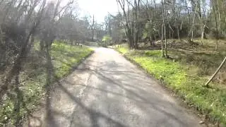 Ranmore Common 201203