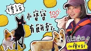 全台手播【邵庭Vlog】#15 污頑有乖寶寶餅乾 （咦）