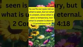 Daily Devotional Fixing Our Eyes on the Eternal  #devotiontime  #dailydevotional