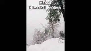 Beauty Of Himachal Pradesh ❤M❤B🤔 #himachali #manali #music #love #song #viralsong #ytshorts #status