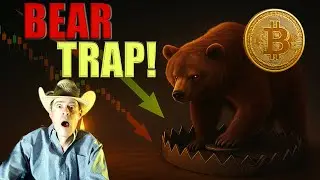 BEAR TRAP DETONATES BTC - Destruction or Escape?