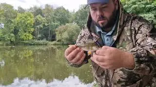 Predator Fishing A Secret Pond
