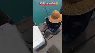 ก็ตกคนเดียวไปเลยฮ่ะ#ตกปลา #fishing #แสมสาร