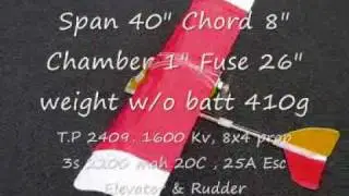 Spad : Corro Beagle plane(Pusher Glider)
