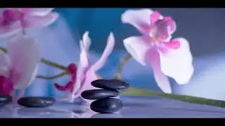 Mindfulness Meditation   Acceptance & Commitment Therapy   ACT