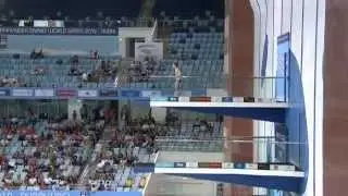 FINA Diving World Series Platform 10m Men Dubai 2012