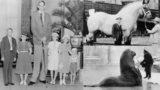 30 Incredible Historical Photos in Black and White😯