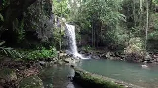 Curtis Falls - Gold Coast - background