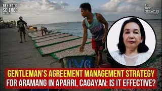 Evelyn Ame, PhD: Gentleman's Agreement management strategy for aramang in Aparri, Cagayan