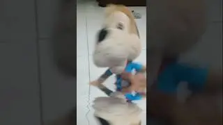 Gian se ahogo