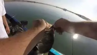 summertime bass fishing black bass and stripers