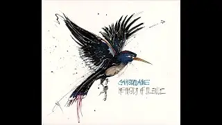 Camouflage -- 