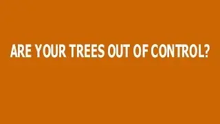 Tree Maintenance Planning Adelaide - Phone AdelaideTreeRemoval.com on 08 7100-1599